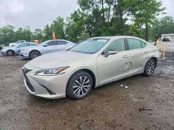 2019 Lexus ES JTHB21B11K2030483