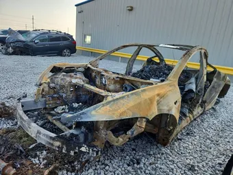 2025 Tesla Model 3 5YJ3E1EA4SF993125 Lot 58925166