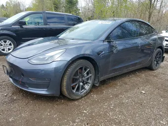 2021 Tesla Model 3 5YJ3E1EA4MF095465 Lot 50635256