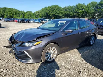 2021 Toyota Camry 4T1C11AK5MU558176 Lot 60014326