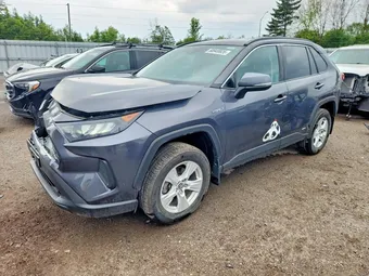 2019 Toyota RAV4 2T3BWRFV7KW008142 Lot 60949926