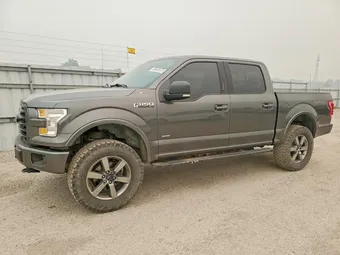 2016 Ford F-150 1FTEW1EG3GFD46244 Lot 61220356