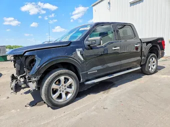 2021 Ford F-150 1FTFW1ED3MFC00724 Lot 53590286