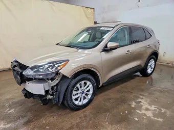 2020 Ford Escape 1FMCU9G64LUB97781 Lot 55435636