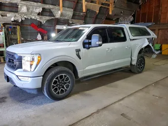 2021 Ford F-150 1FTFW1E53MKD43737 Lot 61550596