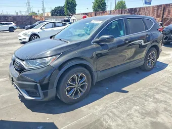 2020 Honda CR-V 5J6RW1H87LA006389