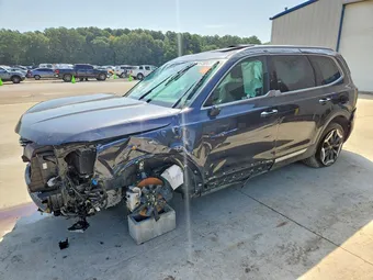 2025 Kia Telluride 5XYP6DGCXSG695153