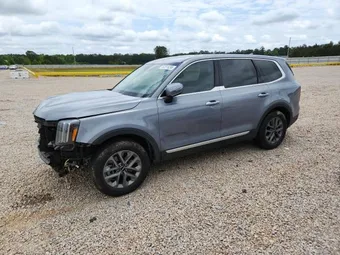 2024 Kia Telluride 5XYP24GC1RG469556