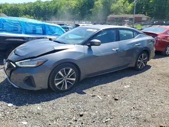 2019 Nissan Maxima 1N4AA6AV7KC376183