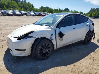 2023 Tesla Model Y 7SAYGDEE2PF851533 Lot 55862636