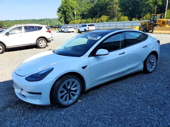 2023 Tesla Model 3 5YJ3E1EA8PF469810 Lot 60021476