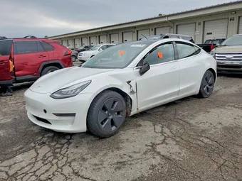 2020 Tesla Model 3 5YJ3E1EA0LF504981 Lot 58777766
