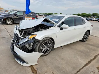 2021 Toyota Camry 4T1F31AK3MU550598 Lot 52463856