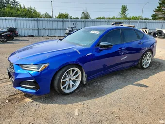 2021 Acura TLX 19UUB6F56MA801597