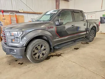 2016 Ford F-150 1FTEW1EG7GFD05390