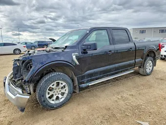 2023 Ford F-150 1FTFW1E89PKD53381