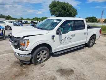 2021 Ford F-150 1FTEW1CP3MFA87608 Lot 60179826