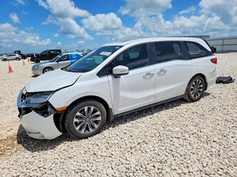 2024 Honda Odyssey 5FNRL6H65RB018969