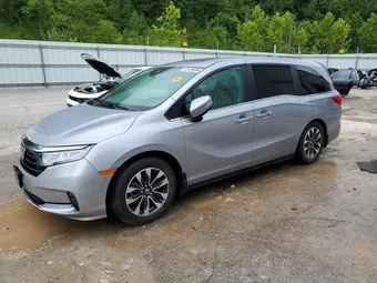 2024 Honda Odyssey 5FNRL6H6XRB043236