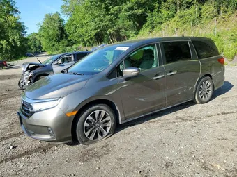 2022 Honda Odyssey 5FNRL6H74NB021722