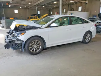 2019 Hyundai Sonata 5NPE24AF2KH810830