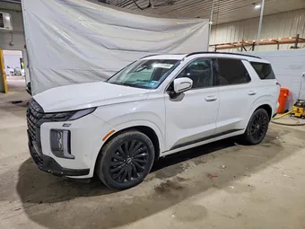 2025 Hyundai Palisade KM8R7DGE0SU923226