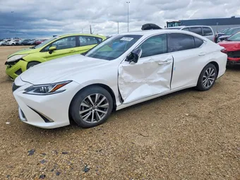 2019 Lexus ES 58ABZ1B18KU008647