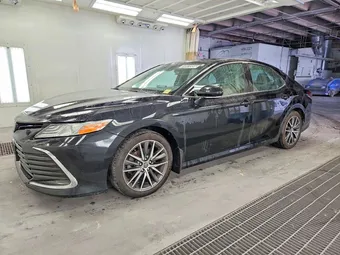 2023 Toyota Camry 4T1F11BKXPU083138 Lot 59974956
