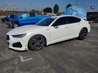 2023 Acura TLX 19UUB5F55PA004465