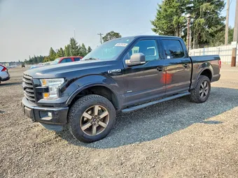 2015 Ford F-150 1FTEW1EG5FFA17978