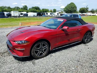 2019 Ford Mustang 1FATP8UH3K5116263