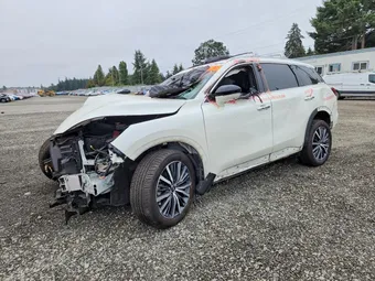 2023 Infiniti QX60 5N1DL1GS5PC346684