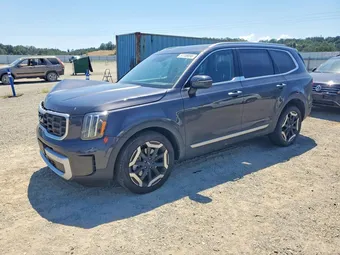 2025 Kia Telluride 5XYP6DGC4SG695424
