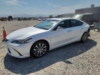 2019 Lexus ES 350 58ABZ1B16KU050797
