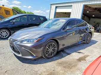 2023 Lexus ES 58ADZ1B19PU141742 Lot 63671516