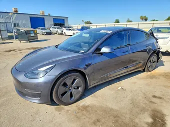 2021 Tesla Model 3 5YJ3E1EA0MF877312 Lot 55939526