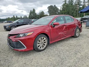 2021 Toyota Camry 4T1C11BK7MU047082 Lot 60016586