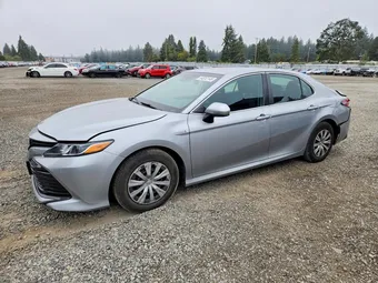 2019 Toyota Camry Hybrid 4T1B31HK5KU515529 Lot 64012146