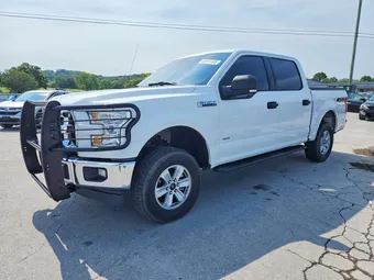 2017 Ford F-150 1FTEW1EG4HFA60677 Lot 62817466
