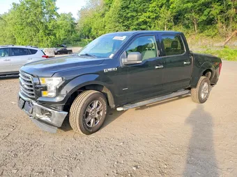 2015 Ford F-150 1FTEW1EPXFFB53300