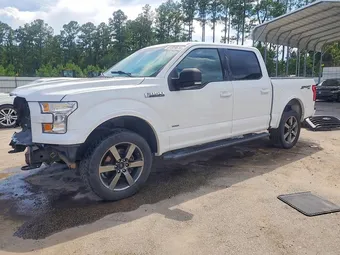 2016 Ford F-150 1FTEW1EG7GFA69226