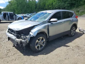 2019 Honda CR-V 5J6RW2H81KL010172