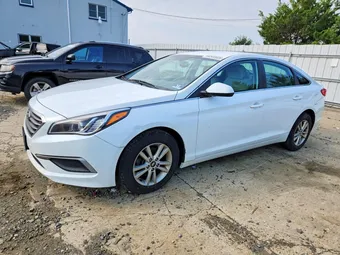 2017 Hyundai Sonata 5NPE24AF1HH523164