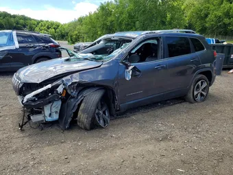 2019 Jeep Cherokee 1C4PJMDX1KD236405 Lot 57142976