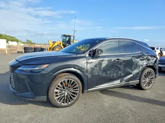 2025 Lexus RX JTJCJMGA2S2026488