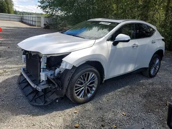 2023 Lexus NX 2T2GKCEZ9PC010278