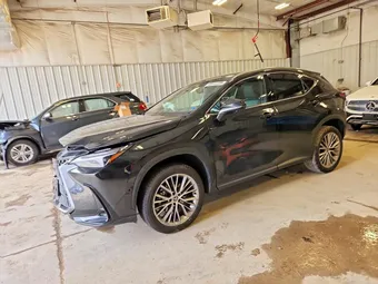 2024 Lexus NX 2T2HKCEZ5RC026159