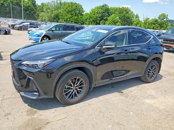 2025 Lexus NX 2T2GGCEZ3SC062743
