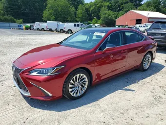 2020 Lexus ES 58AEZ1B14LU065054