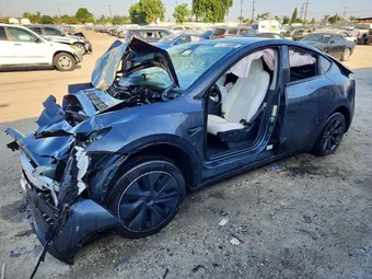 2025 Tesla Model Y 7SAYGDED0SF315549 Lot 64295686